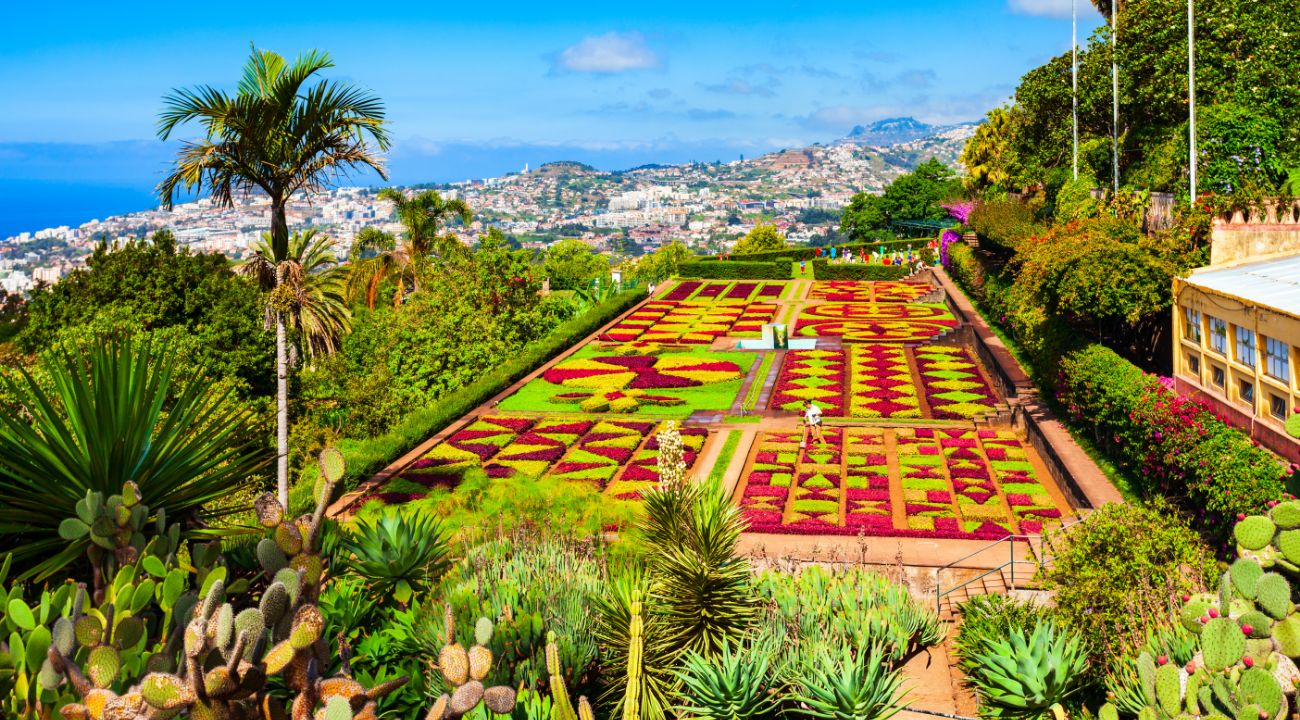 How to explore Madeira in one day Madeira landscape with sea and mountain views from an island viewpoint