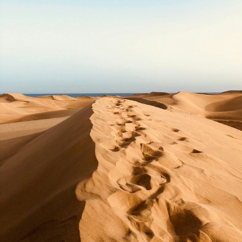 Descubre las Dunas de Maspalomas y el Puerto de Mogán