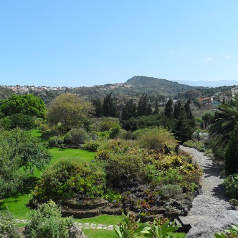 Explora el cráter de Bandama y Jardín Botánico