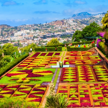 Gardens and cable car in Monte and Funchal