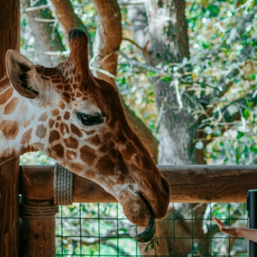 Spend a family day at Oasis Park